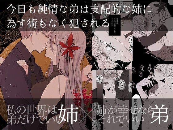 今日も純情な弟は支配的な姉に為す術もなく犯●れる Re: メイン画像