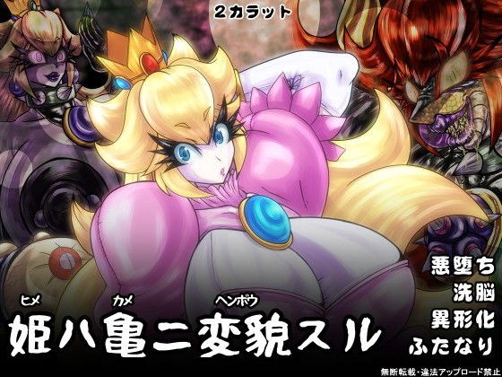 姫ハ亀ニ変貌スル メイン画像