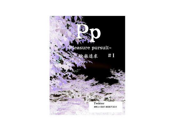 Pp（pleasure pursuit）快楽追求 メイン画像