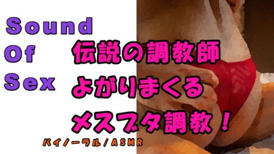 ノンフィクションSEXボイス！実録！ガチムチ熊系調教師が首絞め、スパンキング、言葉責めで尻でかメスブタを調教完了！ ASMR/バイノーラル/催●音声/M女/○辱☆ メイン画像