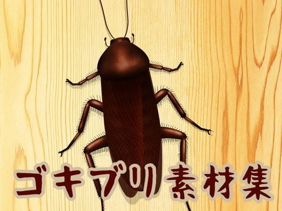ゴキブリ素材集 メイン画像
