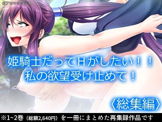姫騎士だってHがしたい！！私の欲望受け止めて！ ＜総集編＞ メイン画像