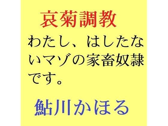 哀菊調教 わたし、マゾの家畜奴●なんです メイン画像