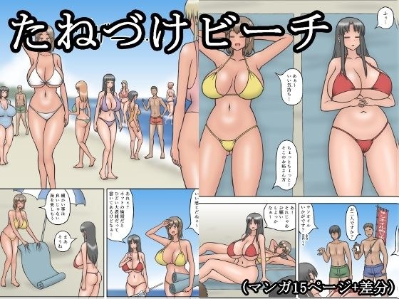 たねづけビーチ メイン画像