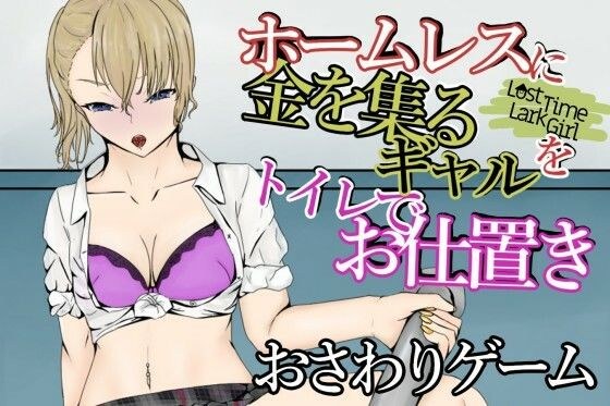 LostTimeLarkGirl〜ホームレスに突っかかるギャルを多目的トイレでお仕置き〜 メイン画像