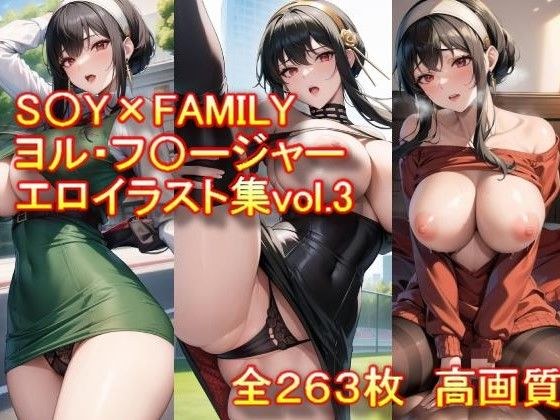 S〇Y×FAMILY ヨル・フ〇ージャー エロイラスト集vol.3 メイン画像