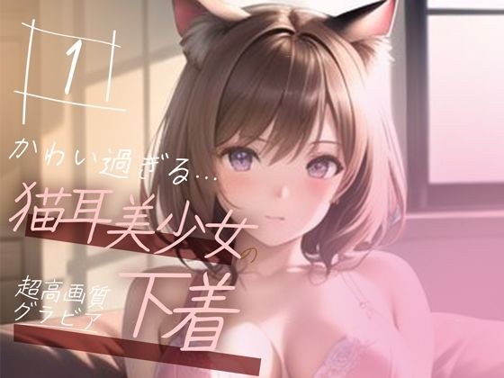 [Super high-quality gravure photo collection] Underwear of a cat-eared beautiful girl. 50 cute pictures ~ 1 volume ~