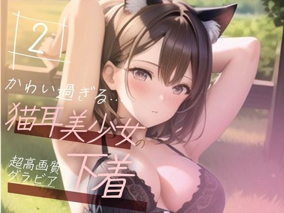 [Super high-quality gravure photo collection] Underwear of a cat-eared beautiful girl. 50 cute pictures ~ 2 volumes ~ メイン画像