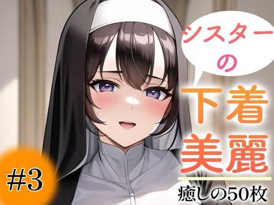 【超高画質グラビア写真集】シスターの下着。癒しの50枚〜3巻〜 メイン画像