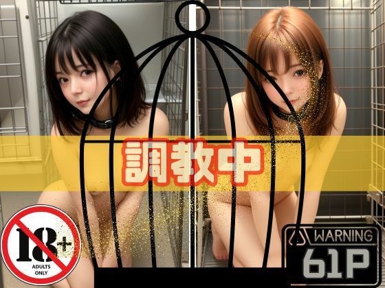 調教中 メイン画像