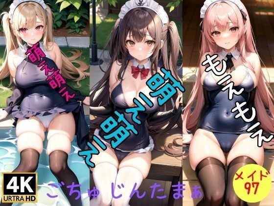 [Moe Maid] Anime girl swimsuit shot ~Gochujin tamaa~ メイン画像