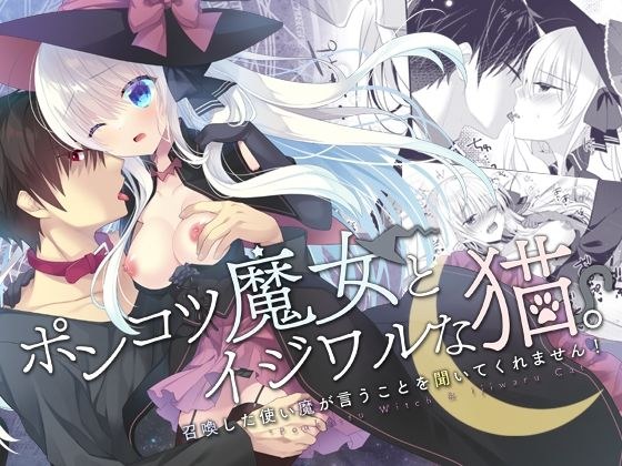 ポンコツ魔女とイジワルな猫。-召喚した使い魔が言うことを聞いてくれません！- メイン画像