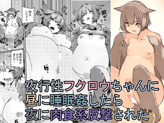 夜行性フクロウちゃんに昼に睡眠姦したら夜に肉食系反撃された メイン画像