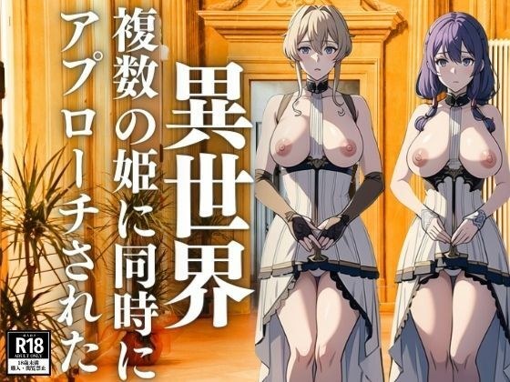 異世界で複数の姫に同時にアプローチされた メイン画像