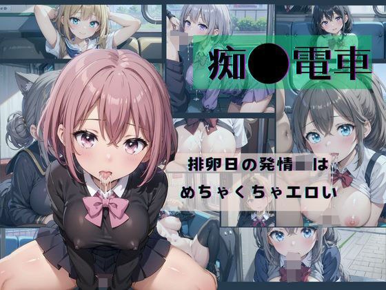 Molestation train → JK in heat on ovulation day is extremely erotic 3 メイン画像