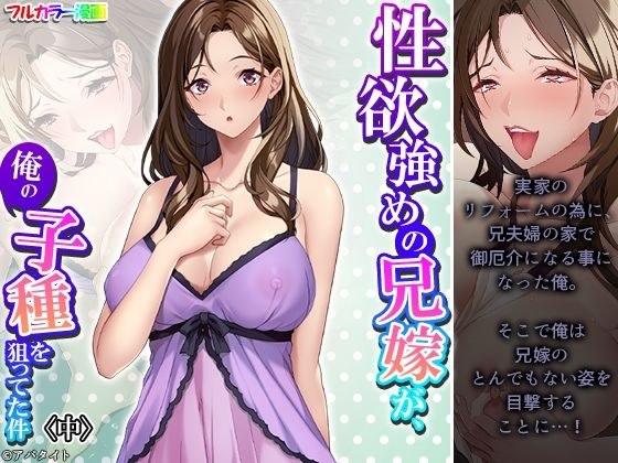性欲強めの兄嫁が、俺の子種を狙ってた件 中 メイン画像