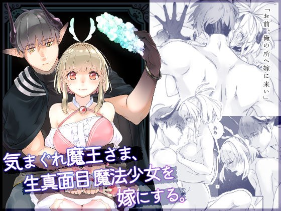 気まぐれ魔王さま、生真面目魔法少女を嫁にする。 メイン画像