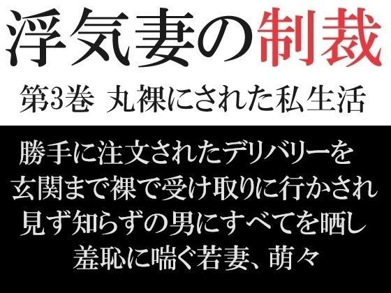 浮気妻の制裁 第3巻 丸裸にされた私生活 メイン画像