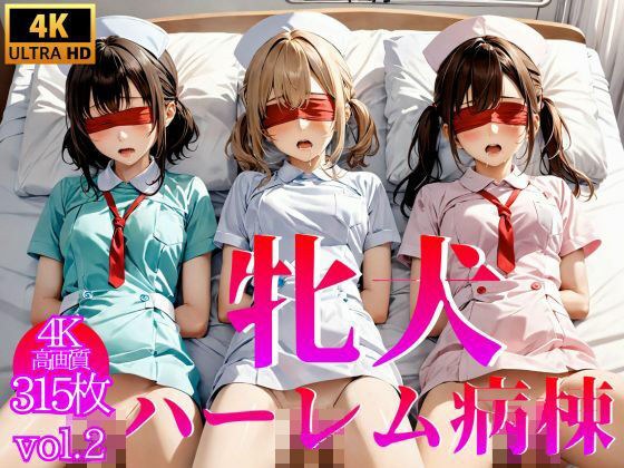 牝犬ハーレム病棟 Vol.2【4K】 メイン画像