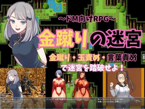 〜ドM向けRPG〜金蹴りの迷宮 メイン画像