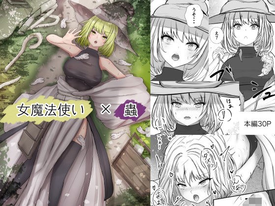 女魔法使いさん蟲姦話 メイン画像