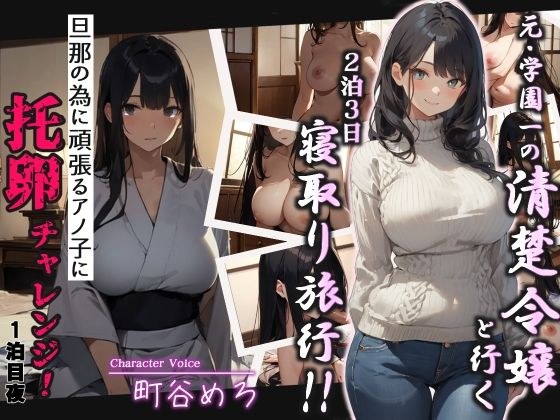 元・学園一の清楚令嬢と行く2泊3日寝取り旅行！！旦那の為に頑張るアノ子に托卵チャレンジ1泊目夜 メイン画像