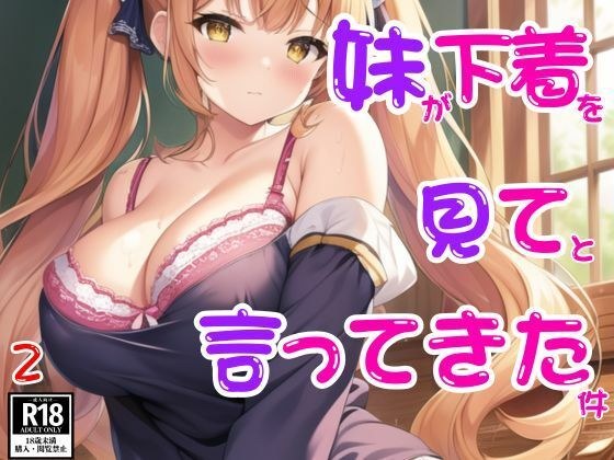 妹が下着を見てって言ってきた件2 メイン画像