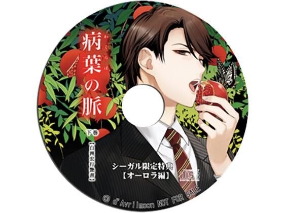 『病葉（わくらば）の脈』〈白洲宏行艶書〉下巻【シーガル特典】『オーロラ編』 メイン画像