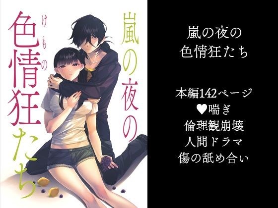嵐の夜の色情狂たち メイン画像