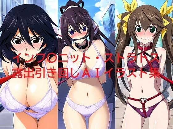 インフィニ〇ト・ストラトス露出引き回しAIイラスト集 メイン画像
