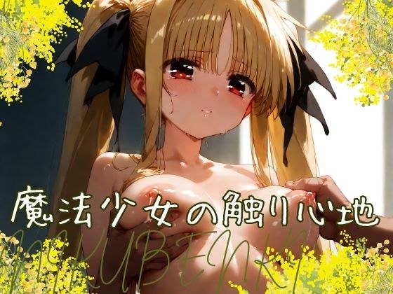 魔法少女の触り心地 メイン画像