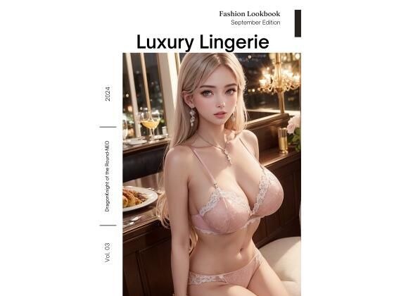 Luxury Lingerie 3 メイン画像