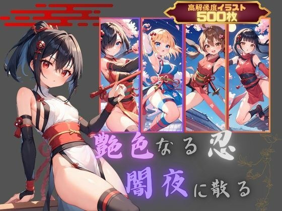 艶色なる忍、闇夜に散る メイン画像