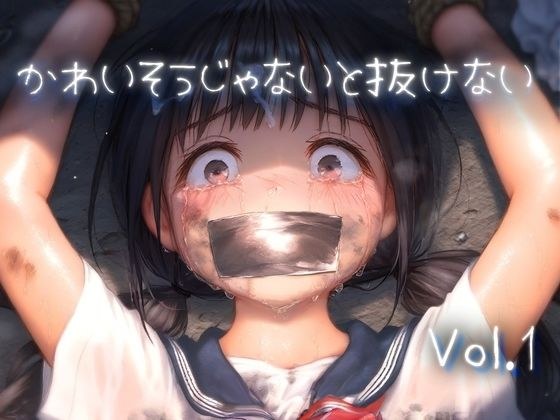 かわいそうじゃないと抜けない vol.1 メイン画像