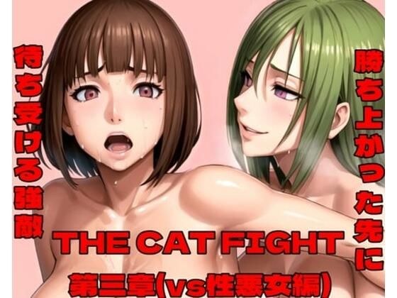 THE CAT FIGHT 第三章（vs性悪女編） メイン画像