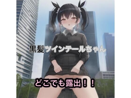 黒髪ツインテールちゃんのどこでも露出！！ メイン画像