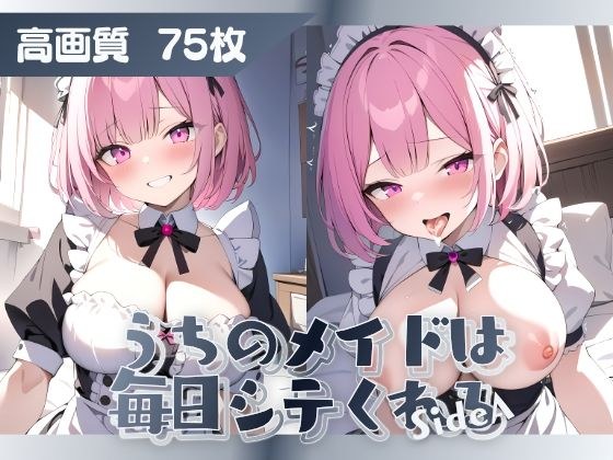 うちのメイドは毎日シテくれる SideA 3 メイン画像