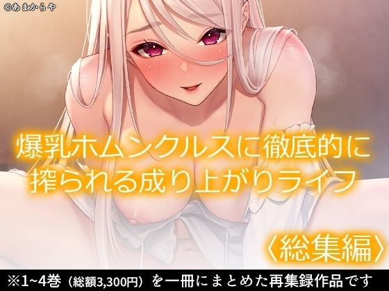 爆乳ホムンクルスに徹底的に搾られる成り上がりライフ ＜総集編＞ メイン画像
