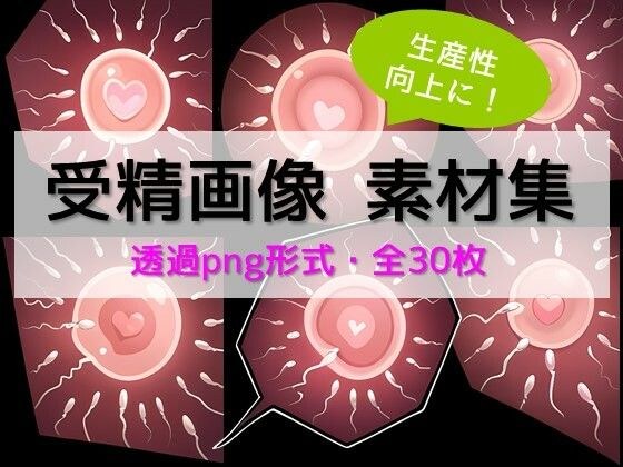 【生産性向上に！】詰め合わせ素材集:卵子に精子が群がる受精画像30枚 メイン画像