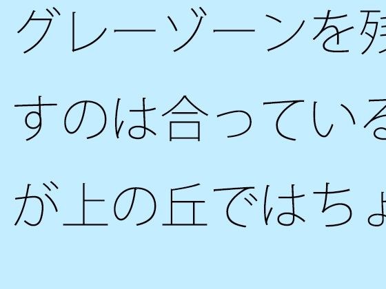【無料】グレーゾーンを残すのは合っているが上の丘ではちょっと鈍感に メイン画像