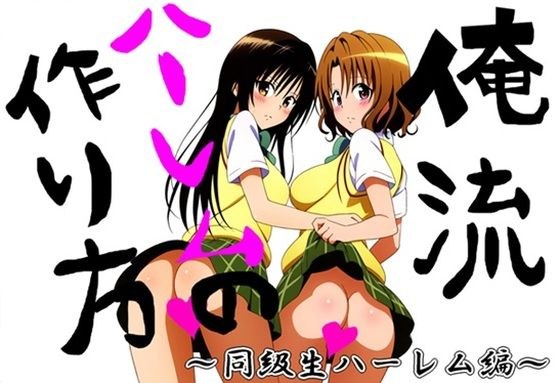 俺流ハーレムの作り方弐 メイン画像