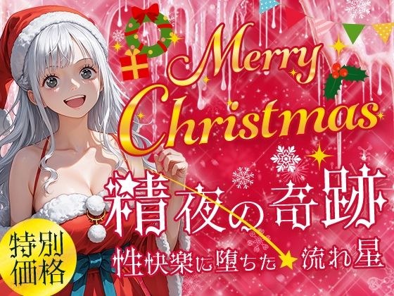 Merry Cristmas 精夜の奇跡 性快楽に落ちた流れ星 メイン画像