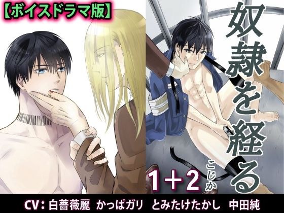 1 + 2 to go through masturbation [voice drama version]