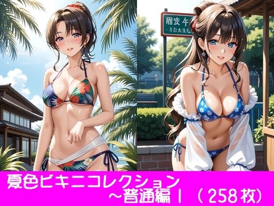 夏季比基尼系列~正常乳房版1 メイン画像