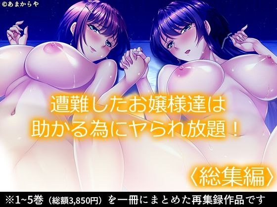 遭難したお嬢様達は助かる為にヤられ放題! <総集編> メイン画像