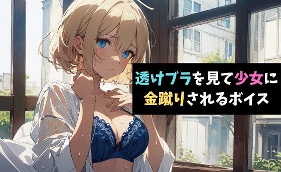 透けブラを見て少女に金蹴りされるボイス メイン画像