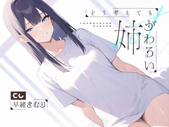 どう考えても姉がわるい【KU100】 メイン画像