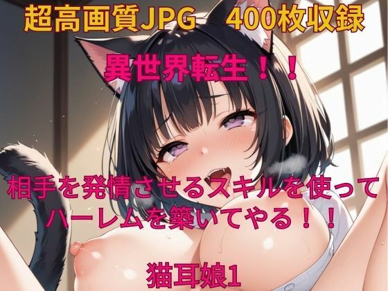 異世界転生！相手を発情させるスキルでハーレムを築いてやる！猫耳娘1 メイン画像