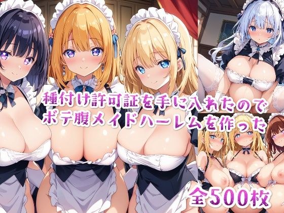 【セリフ付き】種付け許可証を手に入れたのでボテ腹メイドハーレムを作った メイン画像