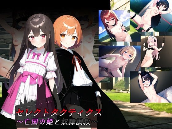 セレクトタクティクス 〜亡国の姫と奴●調教〜 メイン画像